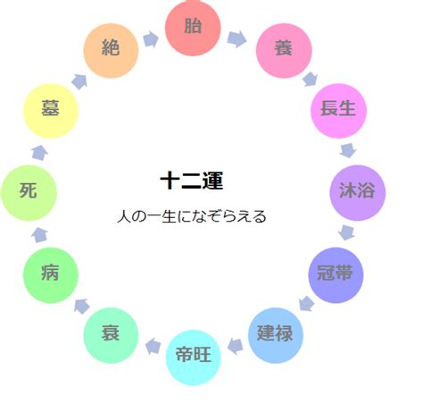 長生十二運|十二運の長生（ちょうせい）とは？性格と相性【四柱。